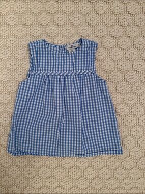 Vineyard Vines Blue and White Gingham Sleeveless Blouse